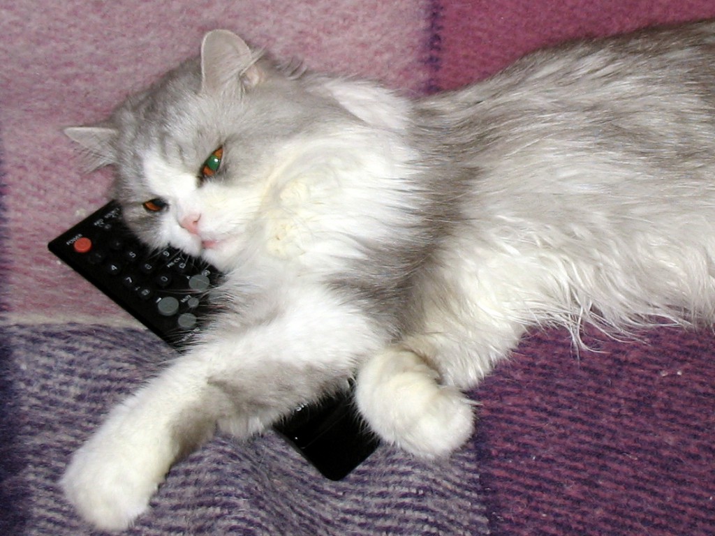 Новогодние каникулы начались...