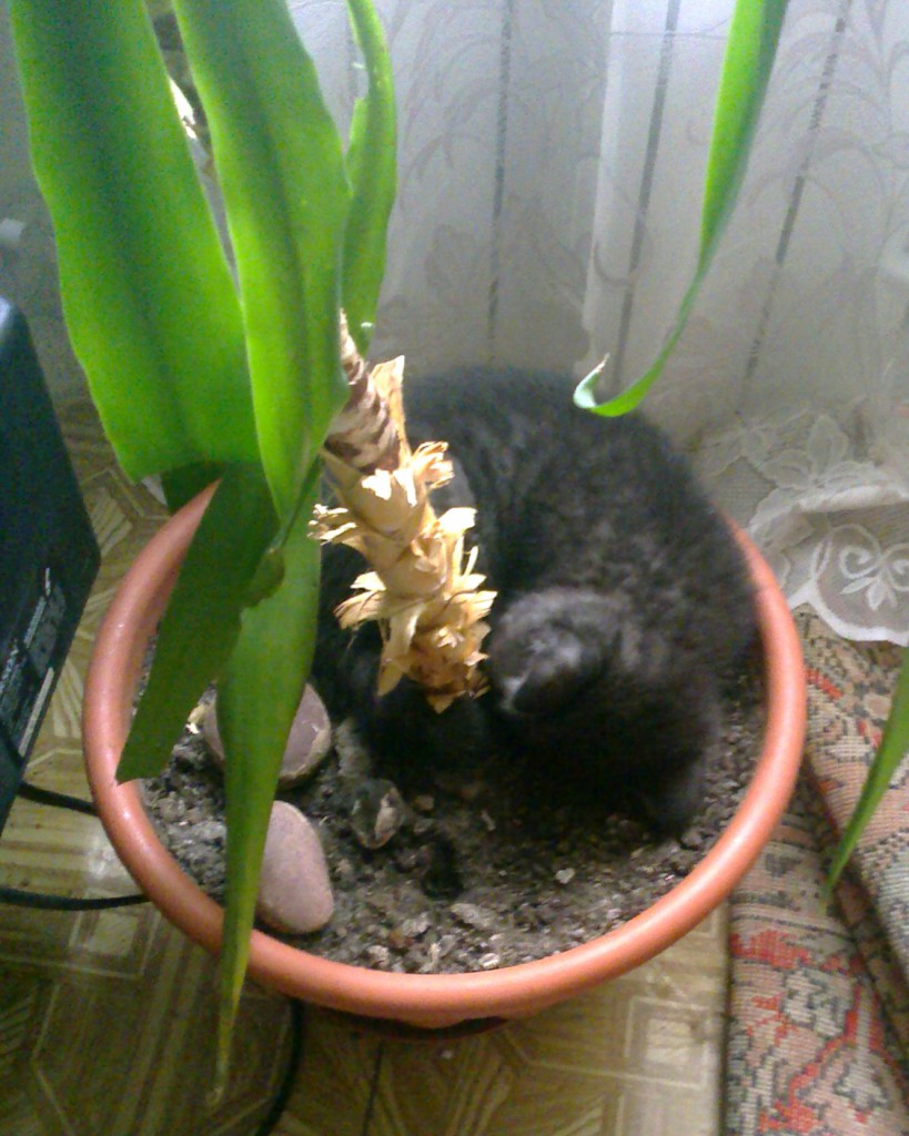 отдых) отдых)