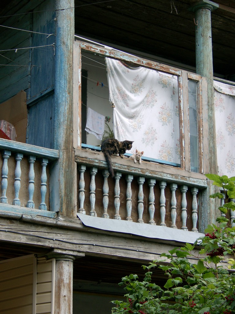 В фамильном имении