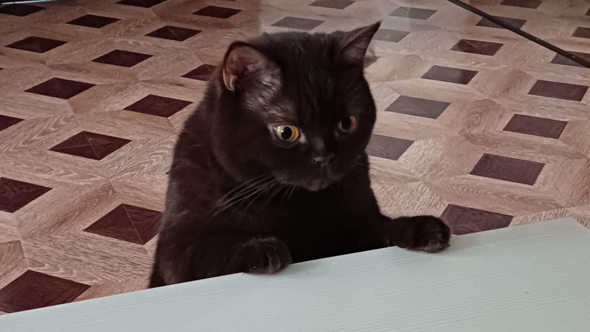 А что это вы тут делаете?