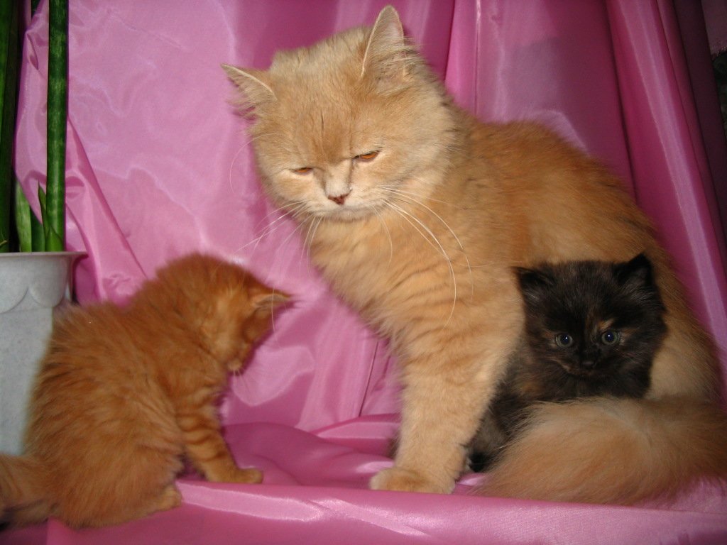 все в сборе