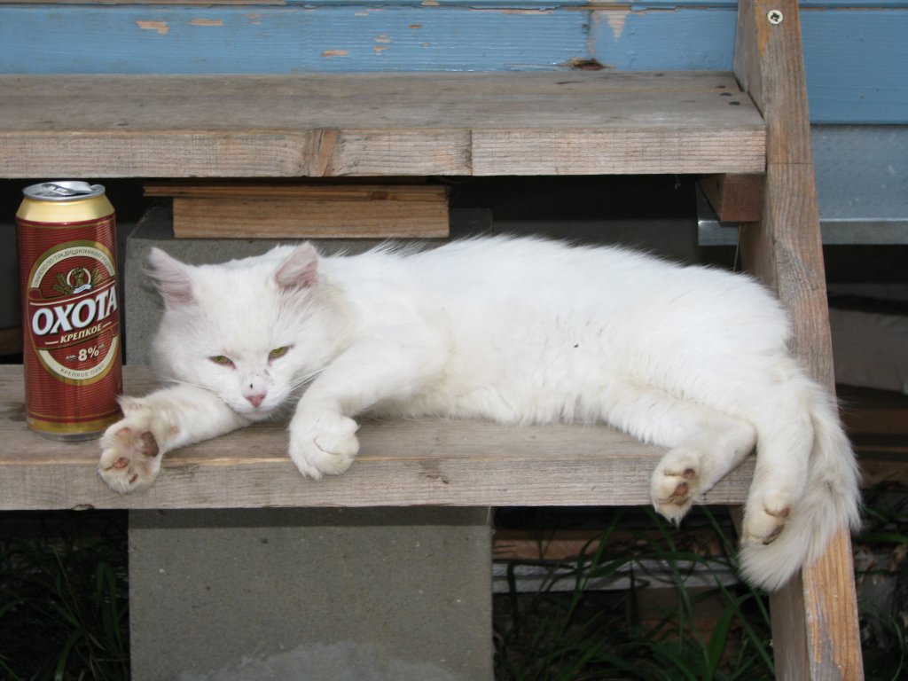 Ну вот и поохотились... Ну вот и поохотились...